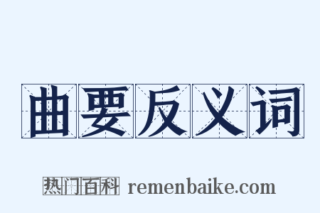 曲要反义词是什么意思的图片